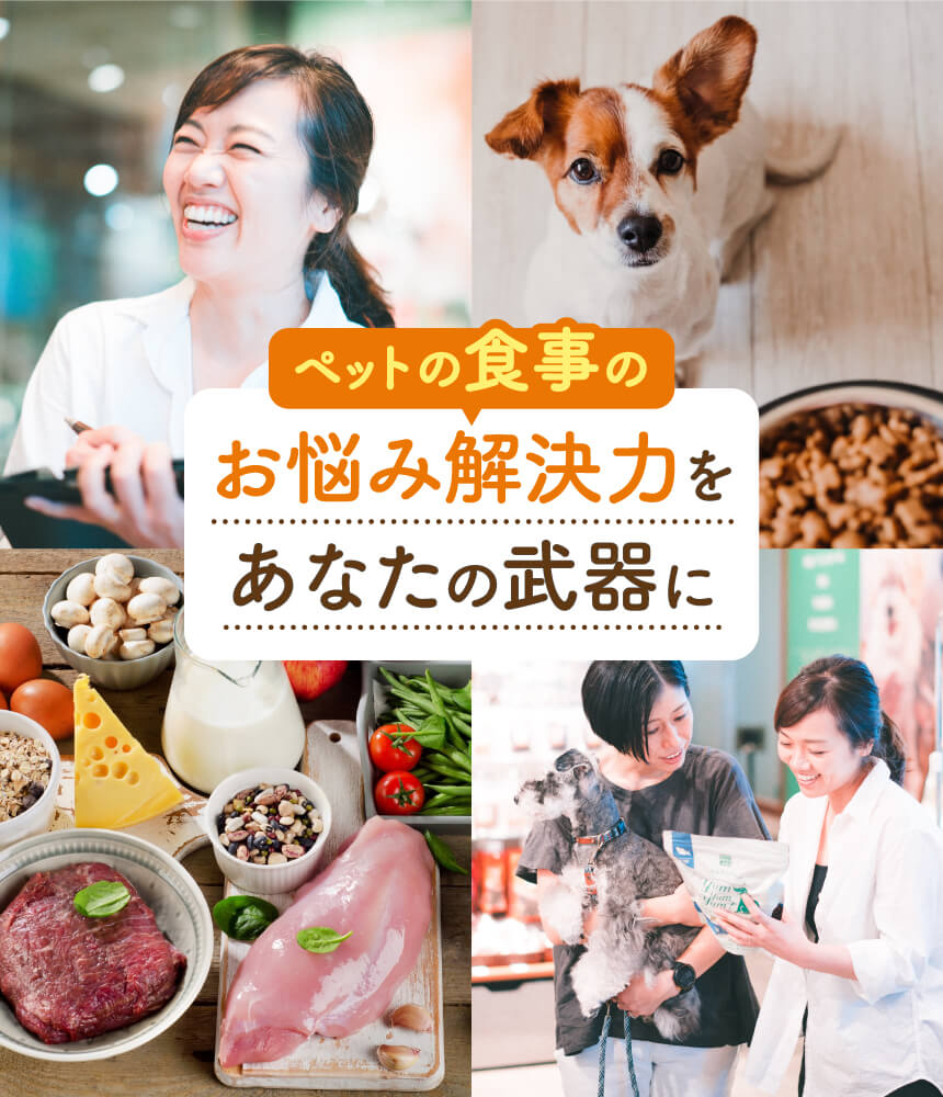 ペットの食事のお悩み解決力をあなたの武器に