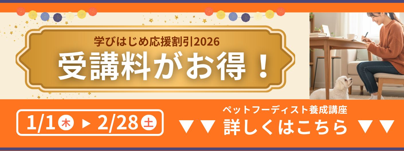 2026新年スタート応援割引