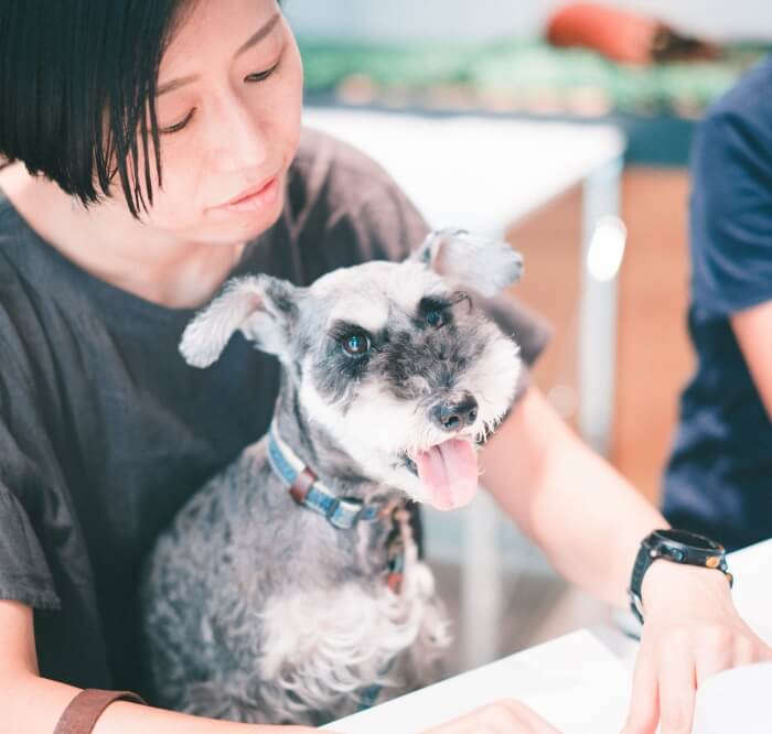 講座詳細 ペットフーディスト養成講座 仕事に活きる犬猫の食事の専門家資格 ペットフーディスト養成講座 仕事に活きる犬猫の食事の専門家資格 講座詳細 ペットフーディスト養成講座 仕事に活きる犬猫の食事の専門家資格 ペットフーディスト養成講座 仕事に活きる犬猫の食事の専門家資格