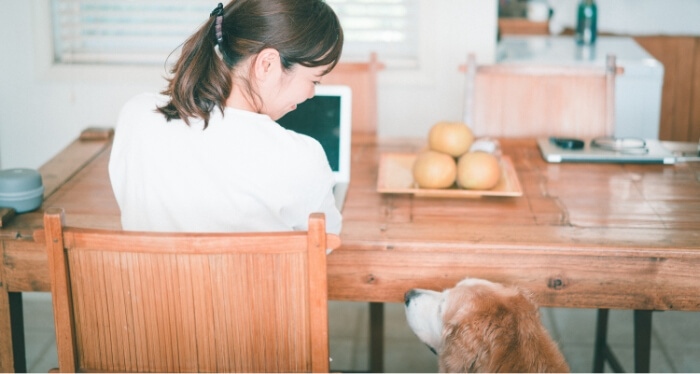 講座詳細 ペットフーディスト養成講座 仕事に活きる犬猫の食事の専門家資格 ペットフーディスト養成講座 仕事に活きる犬猫の食事の専門家資格 講座詳細 ペットフーディスト養成講座 仕事に活きる犬猫の食事の専門家資格 ペットフーディスト養成講座 仕事に活きる犬猫の食事の専門家資格