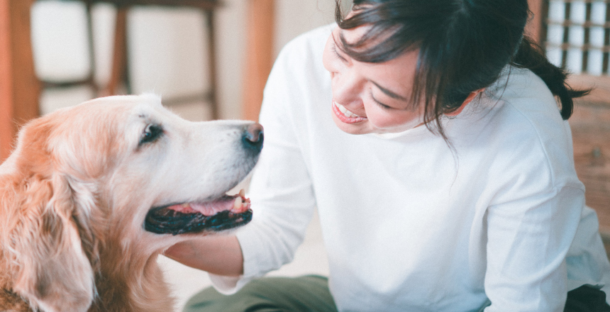 ペットフーディスト養成講座 仕事に活きる犬猫の食事の専門家資格 フード 栄養 手作りごはん知識