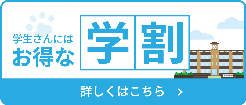 学生さんにはお得な学割