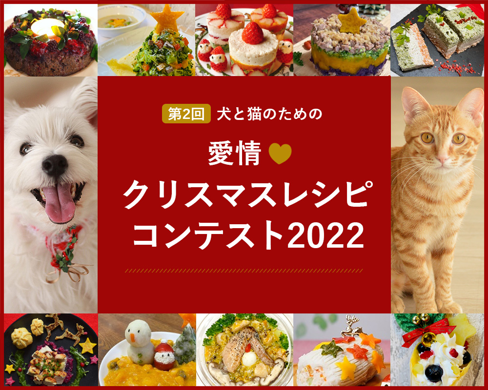 クリスマスレシピコンテスト2022