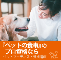 高知県の愛犬と一緒に泊まれる宿｜ペット想い.Com