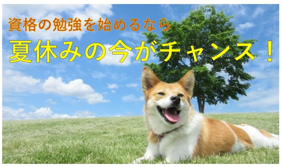 動物に関わる仕事がしたい 学生さんにおすすめの２資格 ペットフーディスト養成講座 仕事に活きる犬猫の食事の専門家資格
