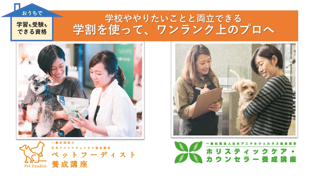 動物に関わる仕事がしたい 学生さんにおすすめの２資格 ペットフーディスト養成講座 仕事に活きる犬猫の食事の専門家資格