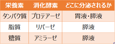 消化酵素と栄養素