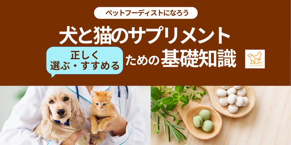 犬と猫への正しいサプリメント選びと使い方って？