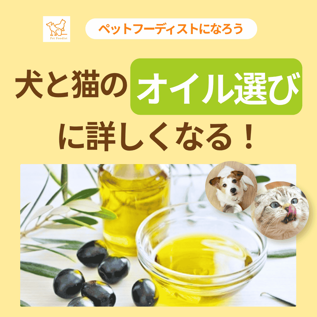 犬と猫のための「オイル選び」に詳しくなろう◆栄養学でアドバイス力アップ