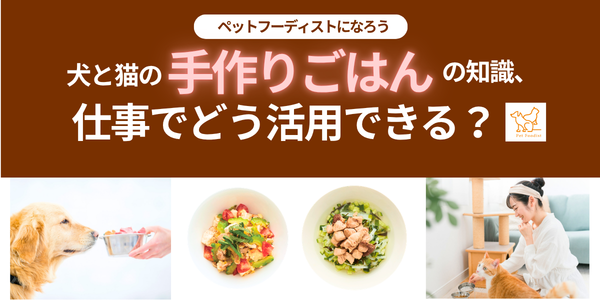 「犬と猫の手作りごはんの知識」は仕事でどう活かせる？
