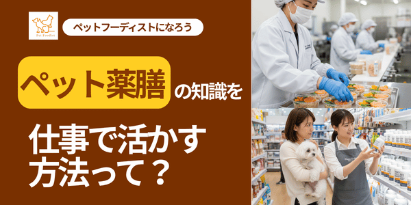 ペット薬膳の知識を仕事で活かす方法って