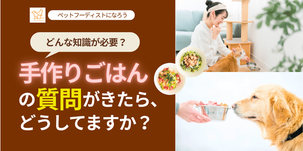 手作りご飯の質問がきたらどうしてますか