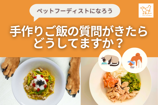 「犬猫の手作りごはん」の質問がきたら、どうしてますか？