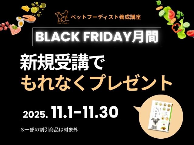 ブラックフライデー2025_PFD