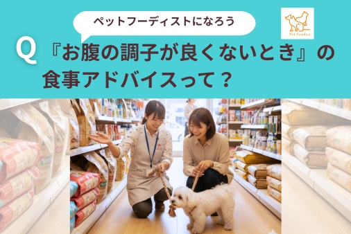 犬や猫の『お腹の調子が良くないとき』の食事アドバイスって？