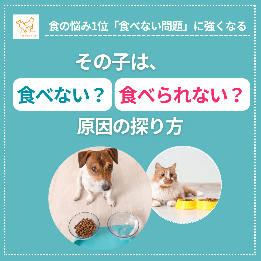 愛犬愛猫は「食べない」それとも「食べられない」？原因の探り方