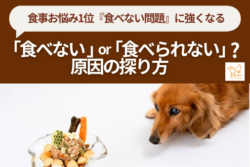愛犬愛猫は「食べない」それとも「食べられない」？原因の探り方