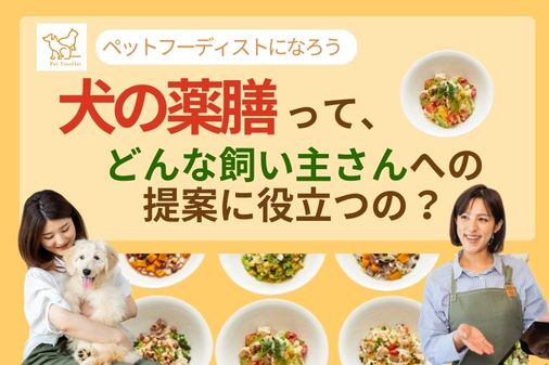 『犬の薬膳』は、どんな飼い主さんへの提案に役立つの？