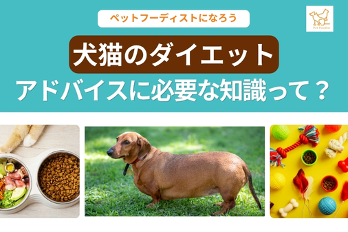 「犬猫のダイエット」アドバイスに必要な知識って？