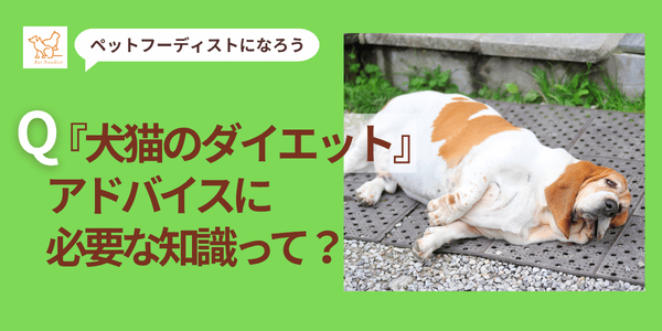 犬猫のダイエットアドバイスに必要な知識って