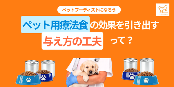 ペット用療法食の効果を引き出す！「与え方の工夫」って？