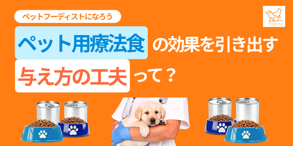 ペット用療法食の効果を引き出す与え方の工夫って