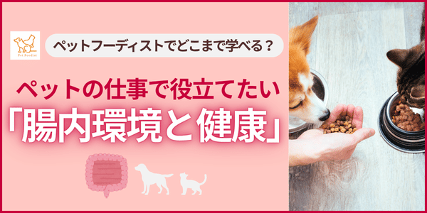 『腸内環境と健康』、ペットフーディストでどこまで学べる？