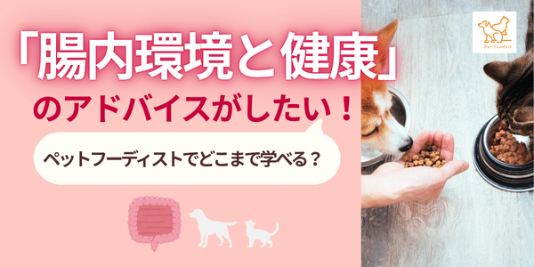 犬猫の『腸内環境と健康』のアドバイスがしたい！ペットフーディストでどこまで学べる？