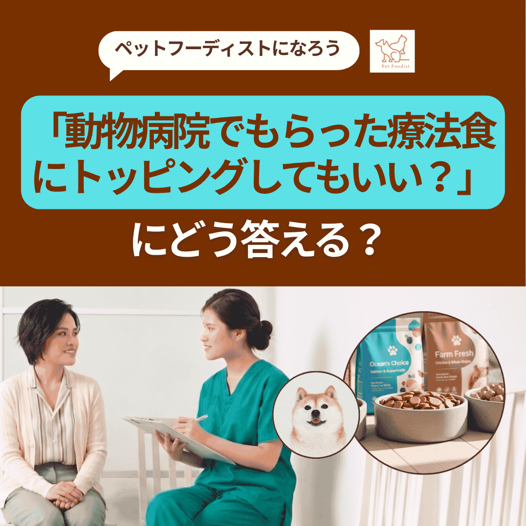 「動物病院でもらった療法食にトッピングしてもいい？」にどう答える？