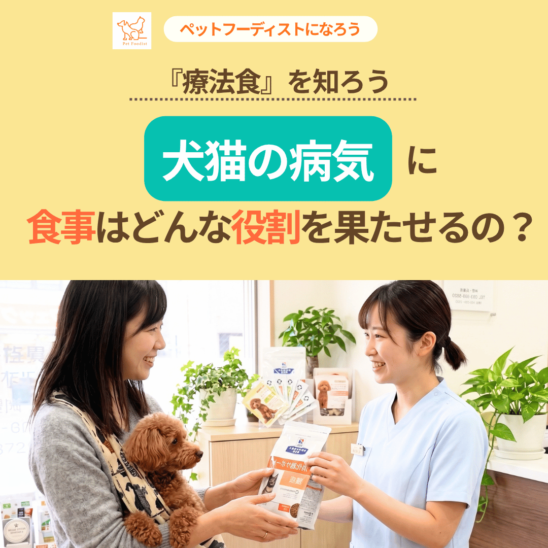 犬猫の病気に、食事はどんな役割を果たせるの？◆『療法食』を知ろう