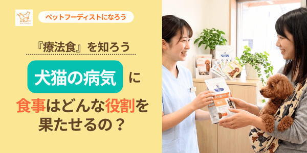 犬猫の病気に食事はどんな役割を果たせるの0