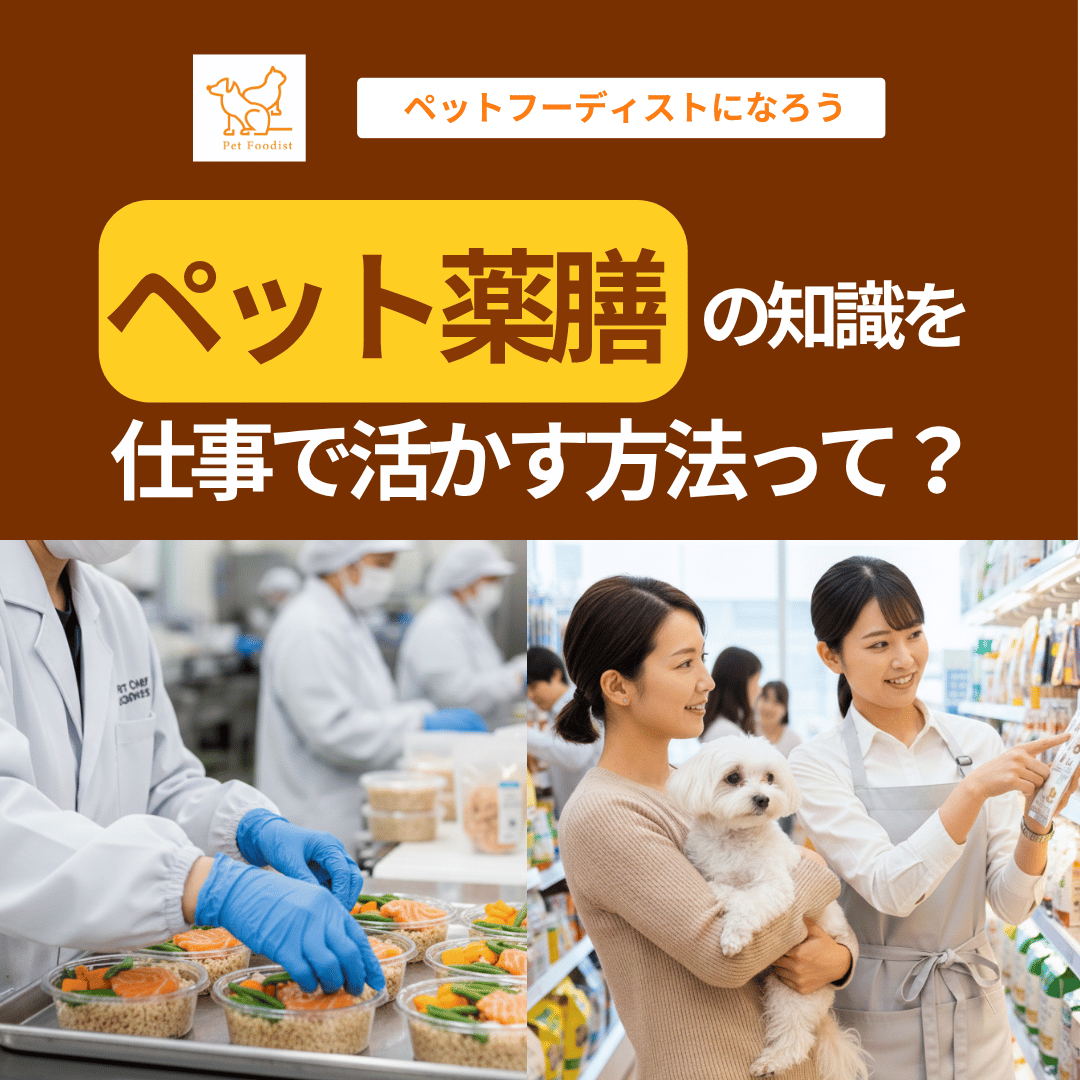 「ペット薬膳」の知識を仕事で生かす方法って？